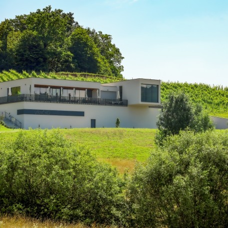 Wein, unberührte Natur, moderne Fenster und hochwertige Architektur.